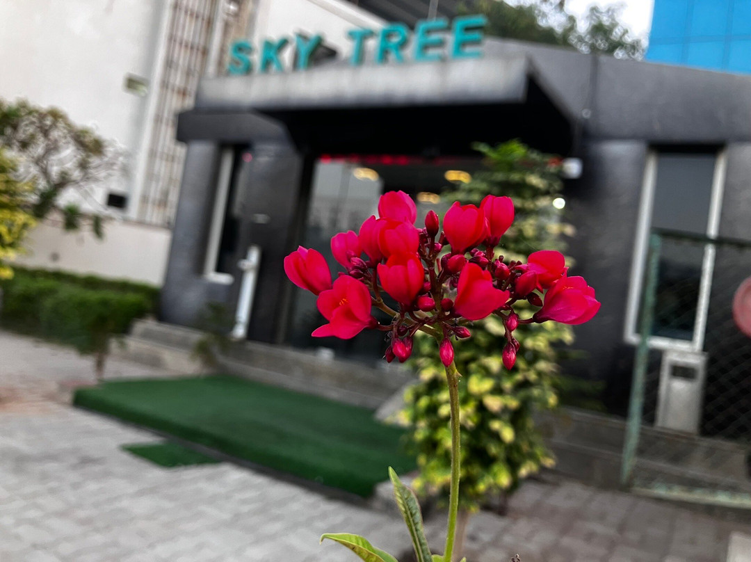 Sky Tree