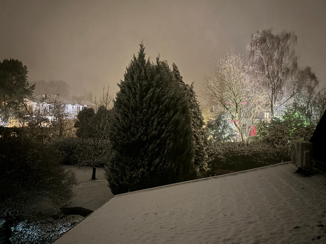 古特莫斯科恩霍夫酒店主图