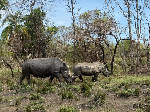 Walters Tours Uganda-坎帕拉必去景点