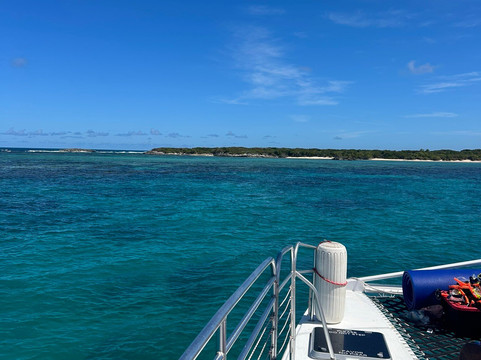 Salty Dog Catamaran-法哈多必去景点