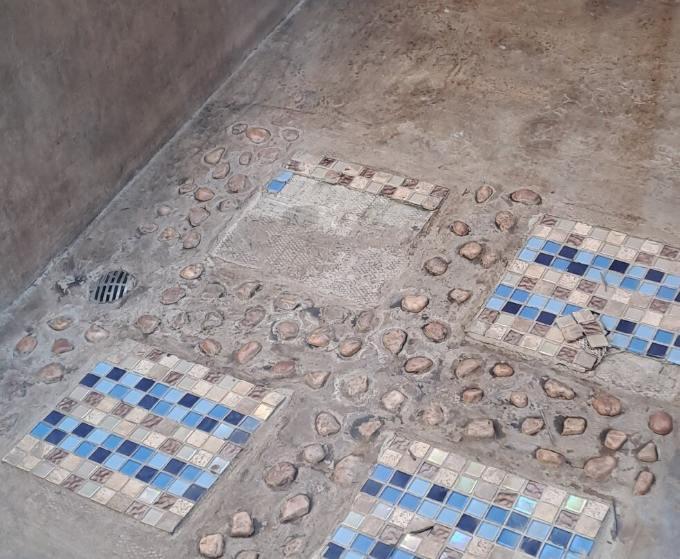 Elephant Herd Tours & Safaris-雾观必去景点