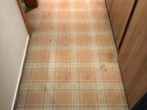 索里斯科酒店主图