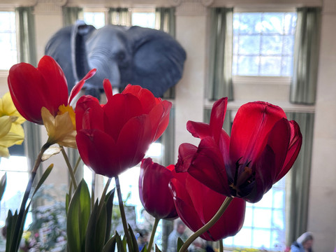 乔治伊士曼博物馆-罗切斯特必去景点