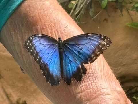 Columbus Travel-基多必去景点