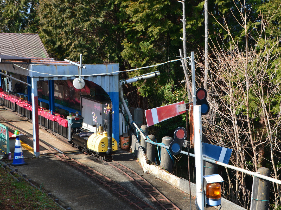 Nishihirahata Park-松田町必去景点