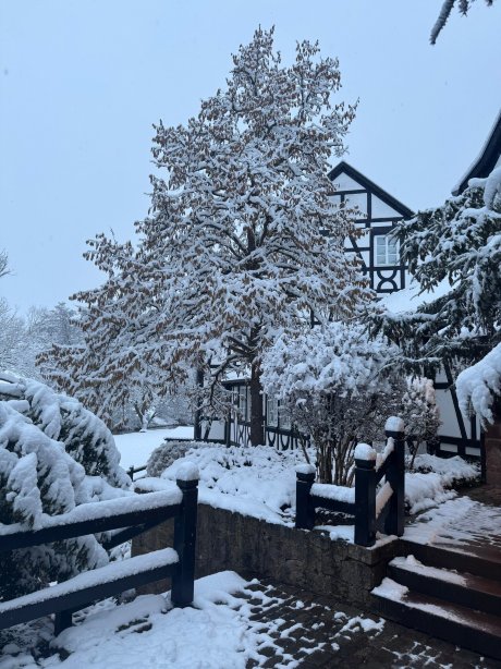 努穆勒度假酒店及水疗中心-官方