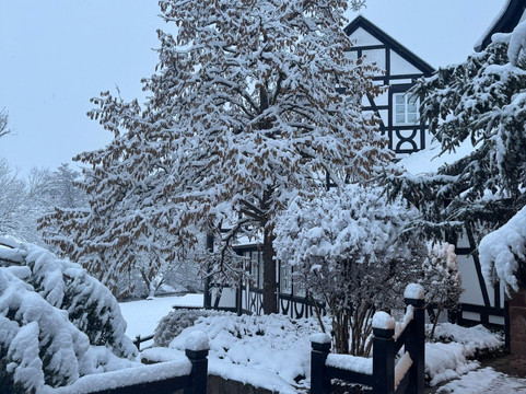 努穆勒度假酒店及水疗中心主图