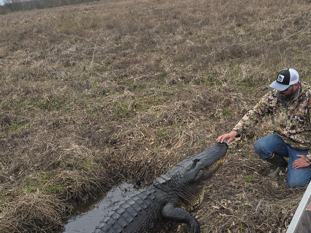 New Orleans Airboat Tours-Marrero必去景点