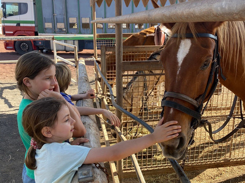 Lanzarote a Caballo-兰萨罗特必去景点