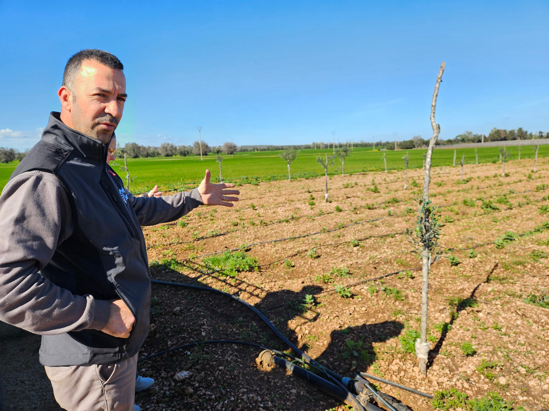 Azienda Agricola Pietrasanta-Carovigno必去景点
