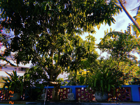 Pousada Vila Anauá主图