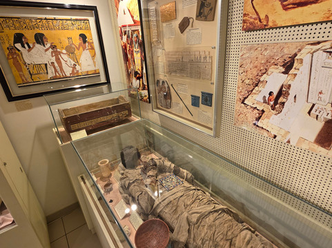 Museu de Arqueologia Ciro Flamarion Cardoso-Ponta Grossa必去景点