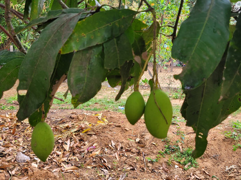 Zazen Travel-芽庄必去景点