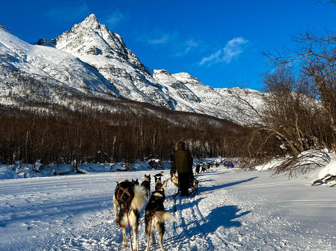 Northern Light Dog Adventure-Nordkjosbotn必去景点