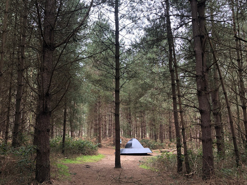 Rendlesham Forest Centre-Woodbridge必去景点