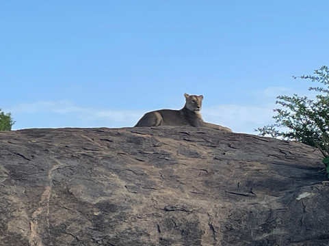 Ajabu Adventures Ltd - Day Tours-阿鲁沙必去景点