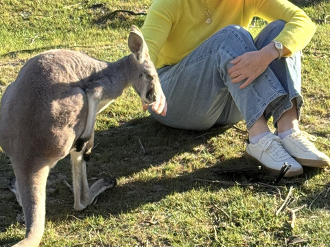 Rocky Ridge Drive Thru Safari-Eustace必去景点