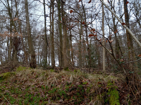 The Clock Tower-艾尔斯伯里必去景点