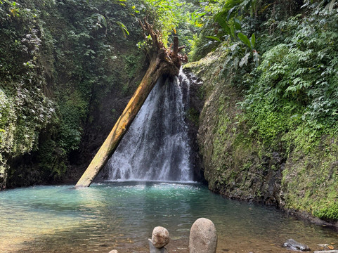 Seven Sisters Waterfalls Grenada-Grand Etang National Park必去景点
