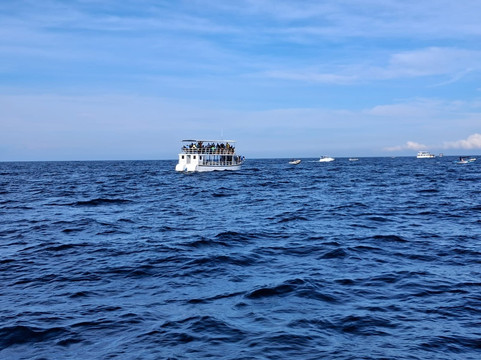 The Gilded Isle Lanka Tours