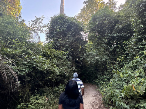 Pemba Island-奔巴岛必去景点