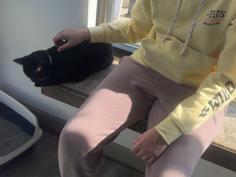 Purrfect Day Cafe Covington-卡温顿必去景点