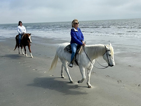 The Stables at Frederica,-圣西蒙斯岛必去景点