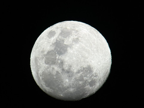 Monteverde Nature Tracks-蒙特沃德必去景点