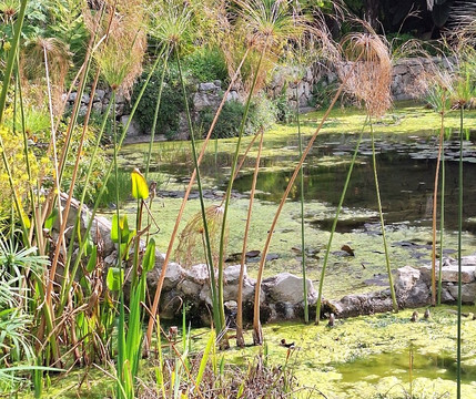 Villa Maria Serena-芒通必去景点