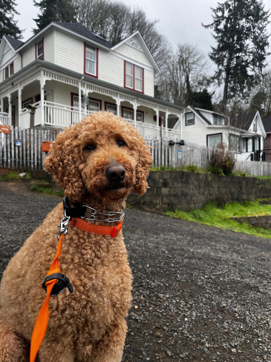 凯瑟琳河滨旅店 - 阿桑德连锁酒店-官方