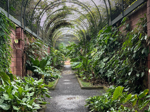 Botanischer Garten-德拉克鲁兹索尔港必去景点