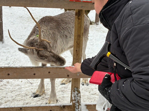Santa's Pets Tallitontun Piha-罗瓦涅米必去景点