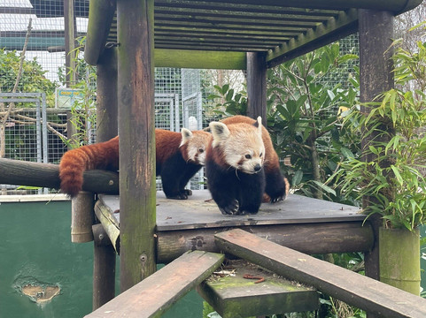 Shepreth Wildlife Park-Shepreth必去景点