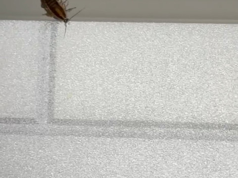 美居套房酒店-斯普林菲尔德 IL主图