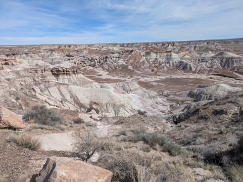 Petrified Forest National Park-霍尔布鲁克必去景点