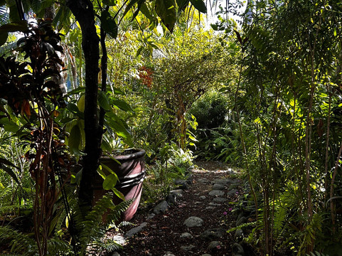 Dimitile酒店和水疗中心主图