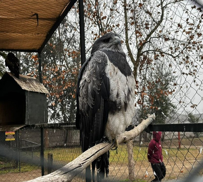 Zoológico Nacional de Chile-圣地亚哥必去景点