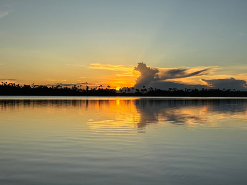 Montuno Birding-Monterrey必去景点