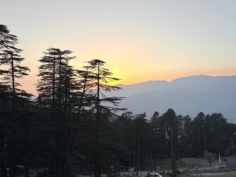 Hotel Forest View-PatniTop