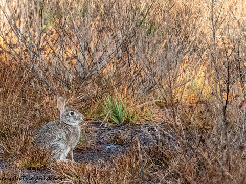 Cedar Point Environmental Park-恩格尔伍德必去景点