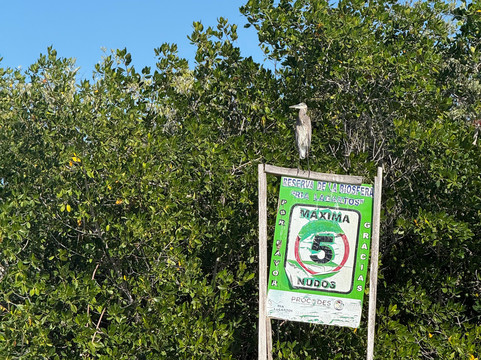 Rio Lagartos Adventures-里奥拉加托斯必去景点