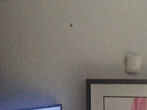 底特律地铁机场希尔顿花园客栈酒店主图