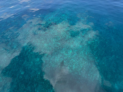 Miyakojima Diving Shop Guide-Ya-San-宫古岛市必去景点