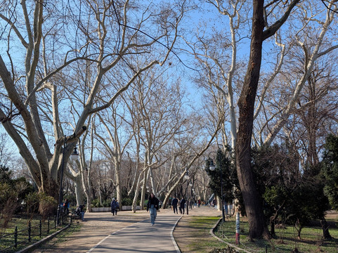 Cismigiu Parc-布加勒斯特必去景点