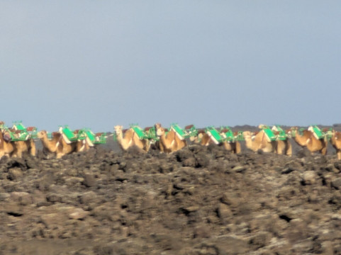 Rotonda De Los Camellos-Uga必去景点