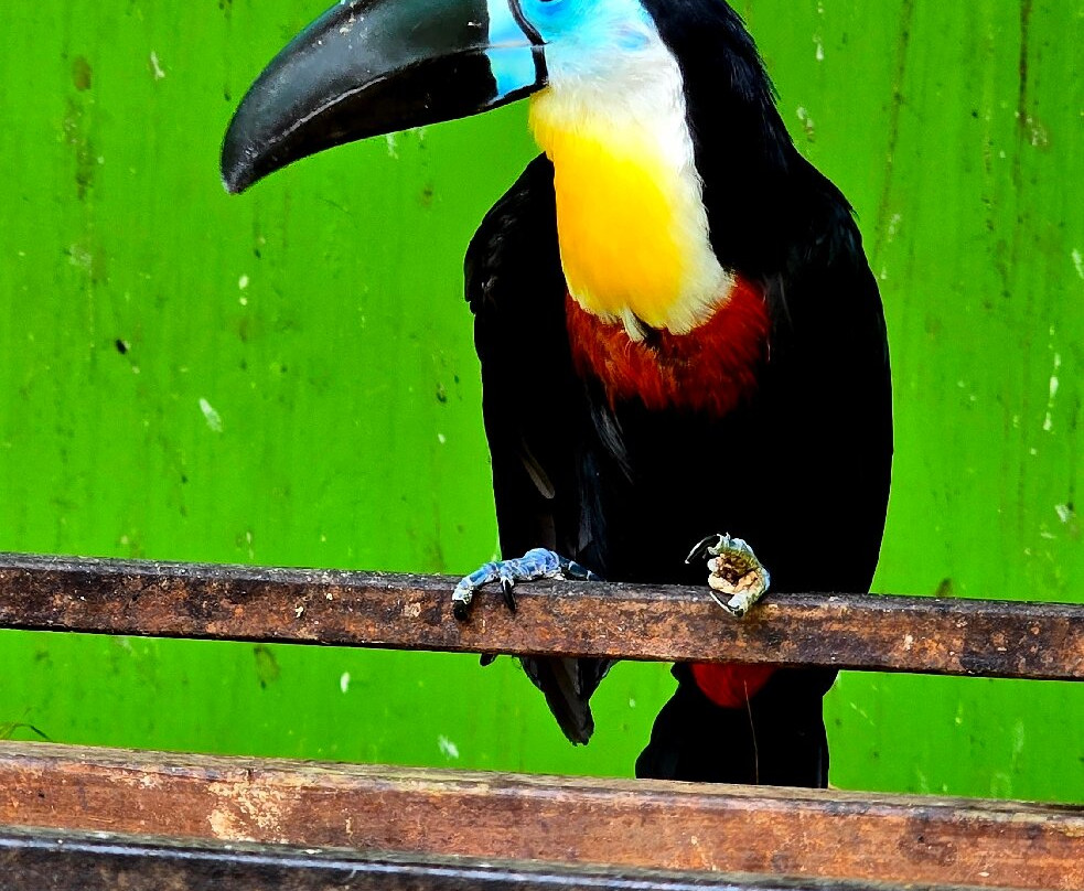 Fundera Park-Yelagiri必去景点