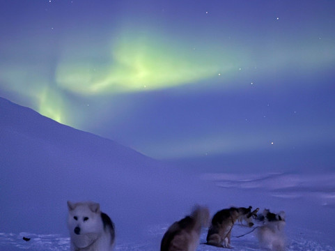 Disko Adventures-Qeqertarsuaq必去景点