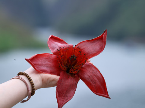 GoGo Ha Giang Tour-Dong Van必去景点