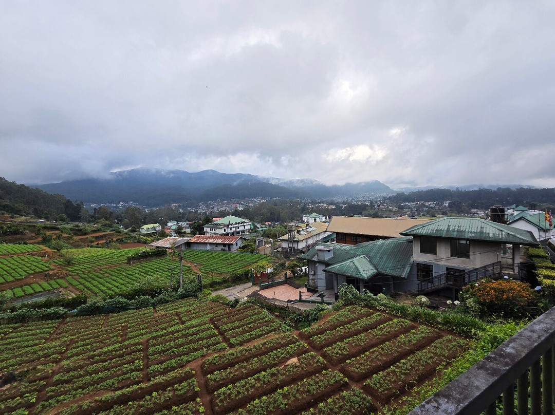 Lanka Classy Tours-凯拉尼亚必去景点