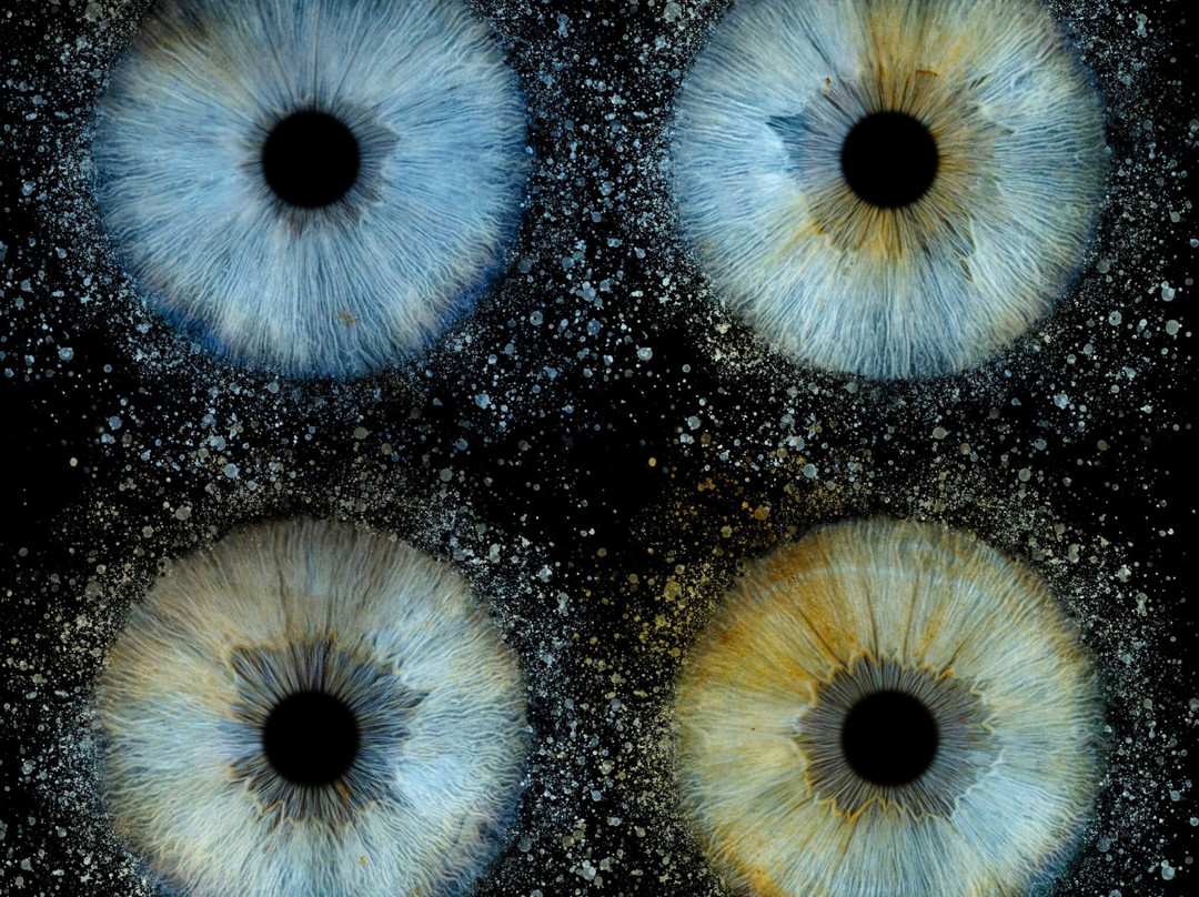 Iris Galerie Mall of the Netherlands-Leidschendam必去景点